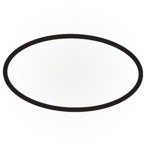 PALL/FSI EGR30055VI Filter Housing Gasket